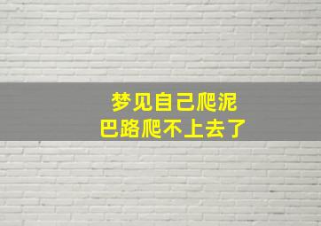 梦见自己爬泥巴路爬不上去了