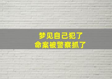 梦见自己犯了命案被警察抓了