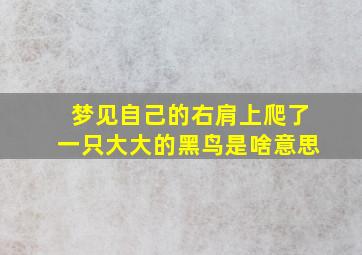 梦见自己的右肩上爬了一只大大的黑鸟是啥意思