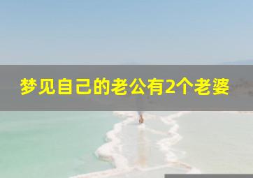 梦见自己的老公有2个老婆