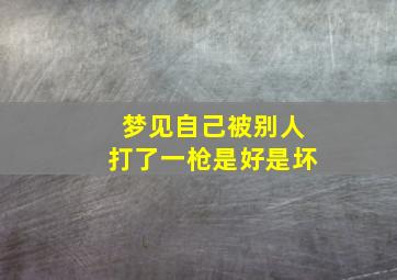 梦见自己被别人打了一枪是好是坏