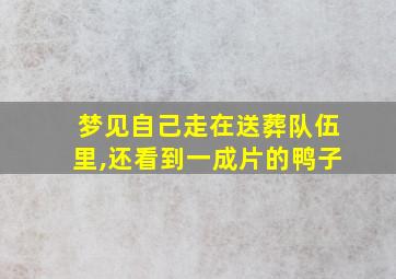 梦见自己走在送葬队伍里,还看到一成片的鸭子