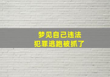 梦见自己违法犯罪逃跑被抓了