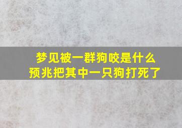 梦见被一群狗咬是什么预兆把其中一只狗打死了