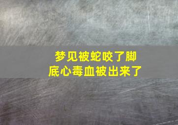 梦见被蛇咬了脚底心毒血被出来了