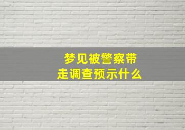 梦见被警察带走调查预示什么