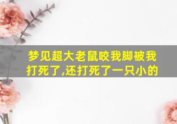 梦见超大老鼠咬我脚被我打死了,还打死了一只小的