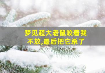 梦见超大老鼠咬着我不放,最后把它杀了