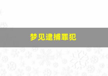 梦见逮捕罪犯