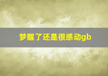 梦醒了还是很感动gb