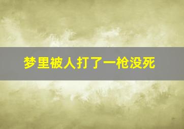 梦里被人打了一枪没死