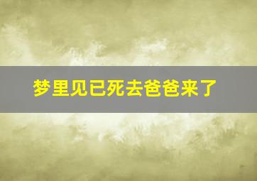 梦里见已死去爸爸来了