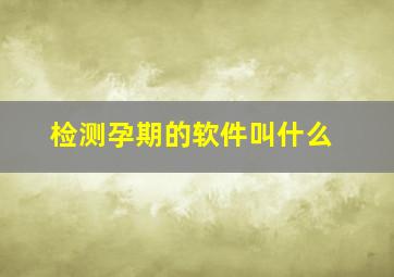 检测孕期的软件叫什么