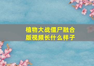 植物大战僵尸融合版视频长什么样子