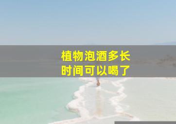 植物泡酒多长时间可以喝了