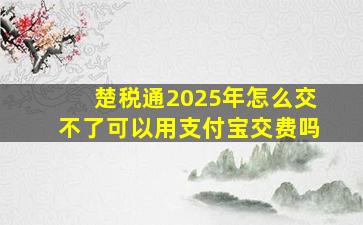 楚税通2025年怎么交不了可以用支付宝交费吗