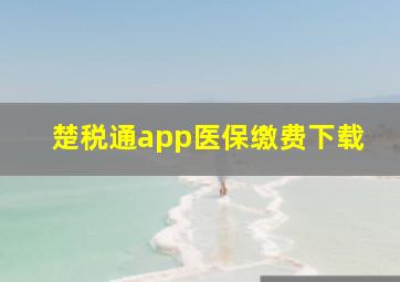 楚税通app医保缴费下载