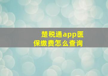 楚税通app医保缴费怎么查询