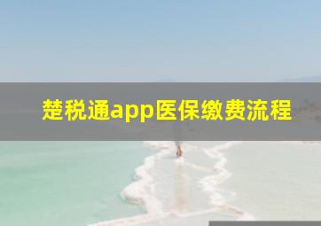 楚税通app医保缴费流程