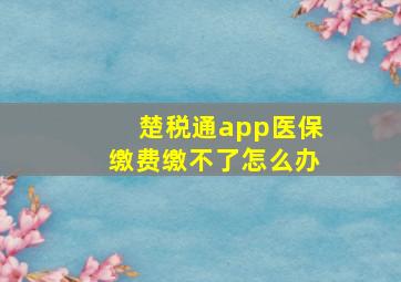 楚税通app医保缴费缴不了怎么办