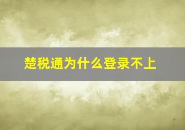 楚税通为什么登录不上