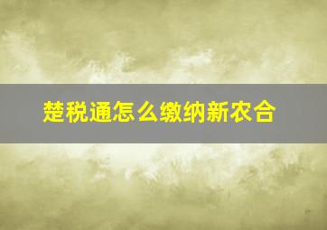 楚税通怎么缴纳新农合