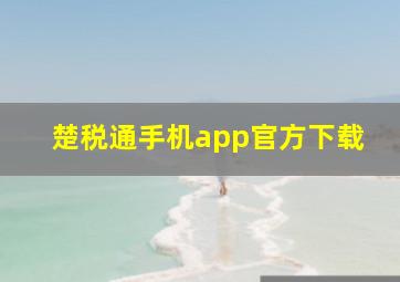 楚税通手机app官方下载