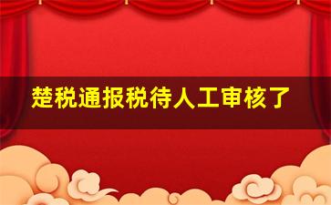 楚税通报税待人工审核了