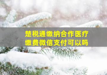 楚税通缴纳合作医疗缴费微信支付可以吗