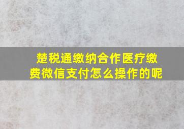 楚税通缴纳合作医疗缴费微信支付怎么操作的呢