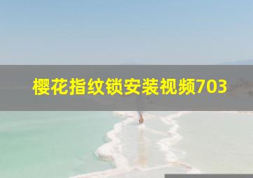 樱花指纹锁安装视频703