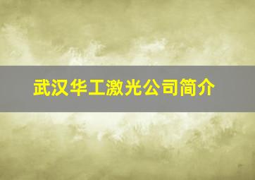 武汉华工激光公司简介