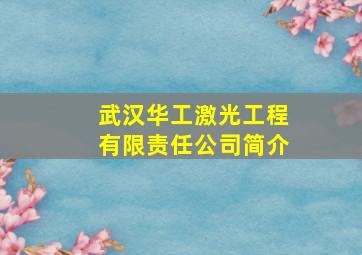 武汉华工激光工程有限责任公司简介