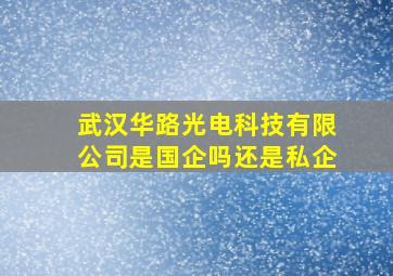 武汉华路光电科技有限公司是国企吗还是私企