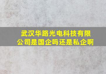 武汉华路光电科技有限公司是国企吗还是私企啊