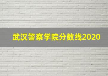 武汉警察学院分数线2020