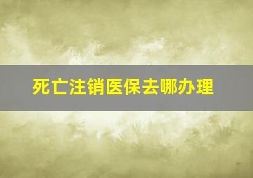 死亡注销医保去哪办理