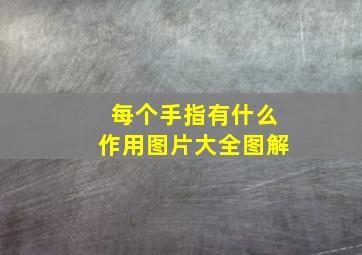 每个手指有什么作用图片大全图解