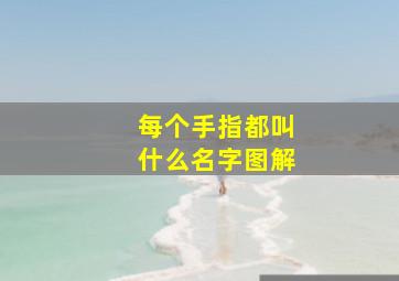 每个手指都叫什么名字图解