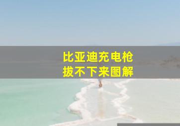 比亚迪充电枪拔不下来图解