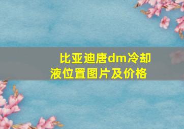 比亚迪唐dm冷却液位置图片及价格