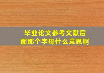 毕业论文参考文献后面那个字母什么意思啊