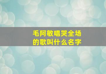 毛阿敏唱哭全场的歌叫什么名字