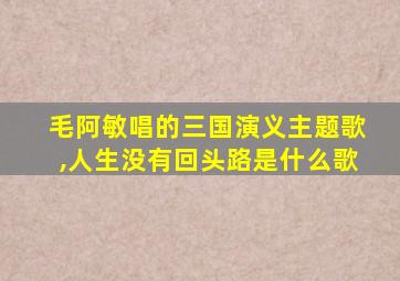 毛阿敏唱的三国演义主题歌,人生没有回头路是什么歌