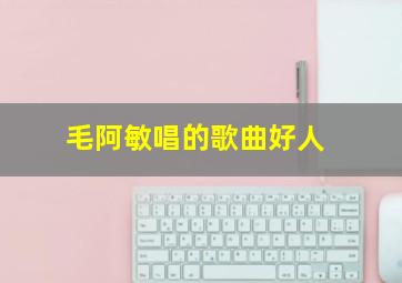 毛阿敏唱的歌曲好人