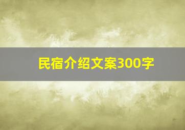 民宿介绍文案300字