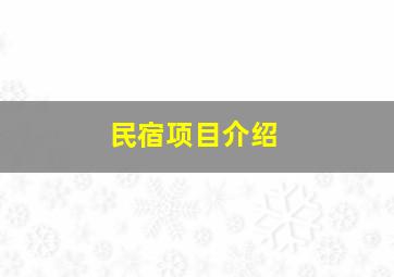 民宿项目介绍