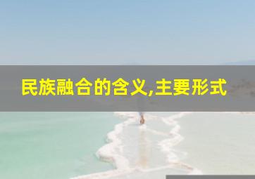 民族融合的含义,主要形式