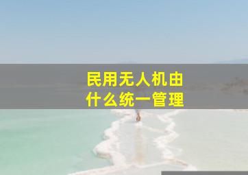 民用无人机由什么统一管理