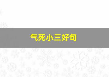 气死小三好句